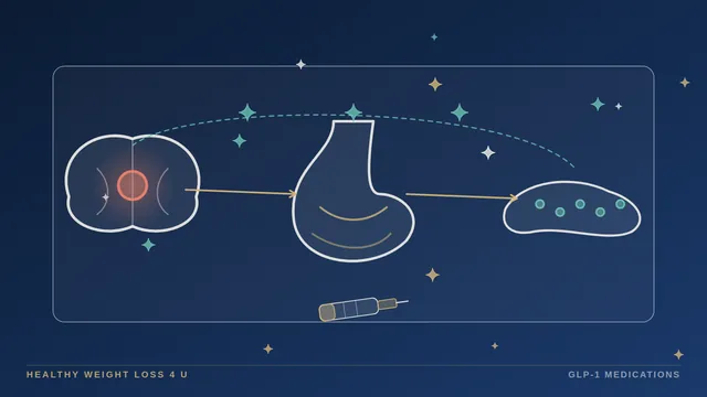 Diagram linking a weekly injection to the brain, stomach and pancreas, the three sites GLP-1 medications act on
