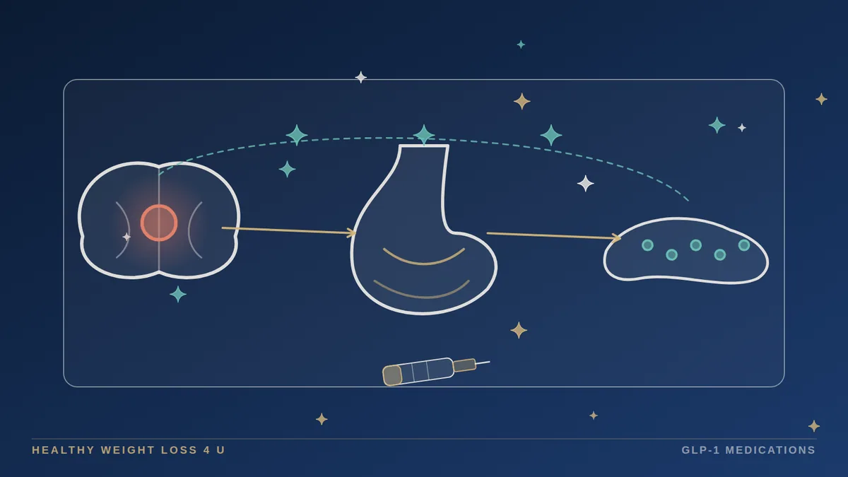 Diagram linking a weekly injection to the brain, stomach and pancreas, the three sites GLP-1 medications act on